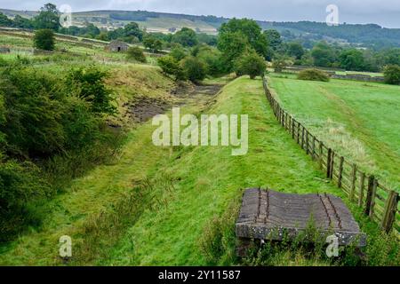 Die stillgelegte Eisenbahnstrecke in Wensleydale, nahe Castle Bolton, North Yorkshire Stockfoto