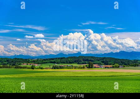 Deutschland, Bayern, Bezirk Ebersberg, Glonn, Herrmannsdorf, Blick in die Nähe des Labyrinthbergs in Richtung Chiemgauer Alpen Stockfoto
