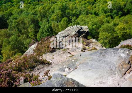 Hathersage Moor Derbyshire UK. Malerische Aussicht von einer felsigen Klippe mit Blick auf einen dichten Wald an einem sonnigen Tag. Stockfoto