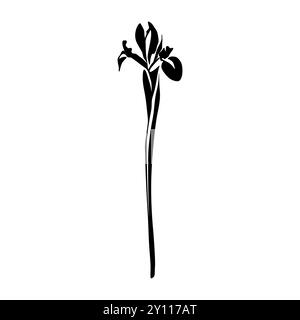 Iris Schwarz-weiß-Silhouette. Silhouette mit Blumenmuster. Handgezeichnete Blumen. Botanische schwarze Silhouette isoliert auf weißem Hintergrund Stock Vektor