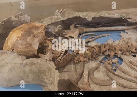 England, Kent, Canterbury, St. Augustines Abbey, Museum, Skelett einer Frau Stockfoto