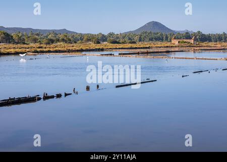 Die Salinen von Porto Vecchio, die seit Ende der 80er Jahre nicht mehr in Betrieb sind, sind heute ein Ziel für Spaziergänge in der Natur in der Umgebung der Stadt, Corse-du-Sud, Korsika, Frankreich Stockfoto