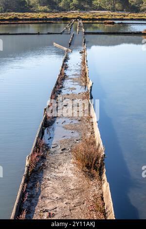 Die Salinen von Porto Vecchio, die seit Ende der 80er Jahre nicht mehr in Betrieb sind, sind heute ein Ziel für Spaziergänge in der Natur in der Umgebung der Stadt, Corse-du-Sud, Korsika, Frankreich Stockfoto