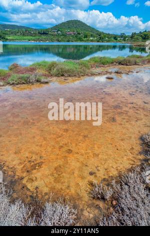 Der Etang de Santa Giulia, eine Lagune an der Küste in der Nähe des Strandes, ein Naturgebiet von ökologischem, faunalem und floristischem Interesse. Porto Vecchio, Corse du Sud, Korsika, Frankreich Stockfoto