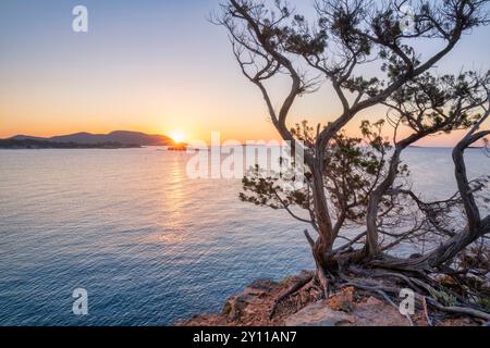 Sonnenaufgang in Plage de La Folaca, zwischen Palombaggia und Santa Giulia. Porto Vecchio, Corse du Sud, Korsika, Frankreich Stockfoto