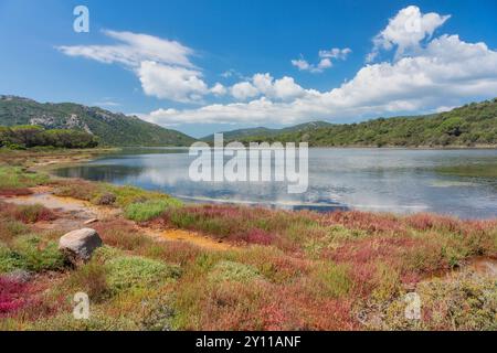 Der Etang de Santa Giulia, eine Lagune an der Küste in der Nähe des Strandes, ein Naturgebiet von ökologischem, faunalem und floristischem Interesse. Porto Vecchio, Corse du Sud, Korsika, Frankreich Stockfoto