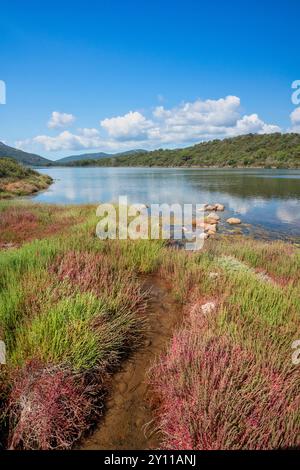 Der Etang de Santa Giulia, eine Lagune an der Küste in der Nähe des Strandes, ein Naturgebiet von ökologischem, faunalem und floristischem Interesse. Porto Vecchio, Corse du Sud, Korsika, Frankreich Stockfoto