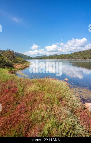 Der Etang de Santa Giulia, eine Lagune an der Küste in der Nähe des Strandes, ein Naturgebiet von ökologischem, faunalem und floristischem Interesse. Porto Vecchio, Corse du Sud, Korsika, Frankreich Stockfoto