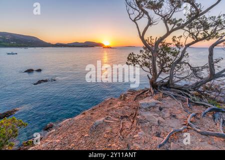 Sonnenaufgang in Plage de La Folaca, zwischen Palombaggia und Santa Giulia. Porto Vecchio, Corse du Sud, Korsika, Frankreich Stockfoto