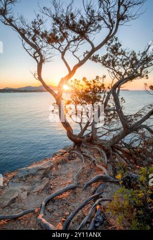 Sonnenaufgang in Plage de La Folaca, zwischen Palombaggia und Santa Giulia. Porto Vecchio, Corse du Sud, Korsika, Frankreich Stockfoto