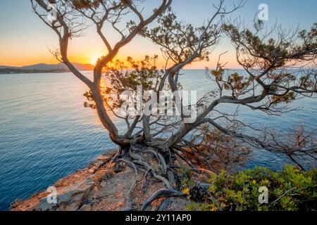 Sonnenaufgang in Plage de La Folaca, zwischen Palombaggia und Santa Giulia. Porto Vecchio, Corse du Sud, Korsika, Frankreich Stockfoto