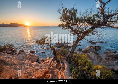 Sonnenaufgang in Plage de La Folaca, zwischen Palombaggia und Santa Giulia. Porto Vecchio, Corse du Sud, Korsika, Frankreich Stockfoto