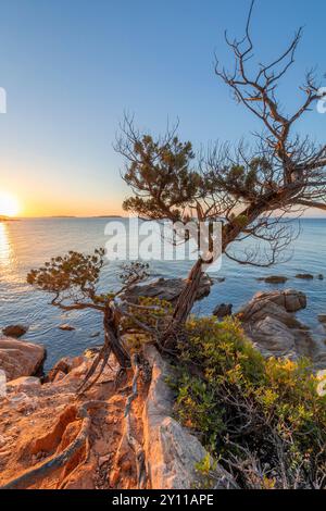 Sonnenaufgang in Plage de La Folaca, zwischen Palombaggia und Santa Giulia. Porto Vecchio, Corse du Sud, Korsika, Frankreich Stockfoto