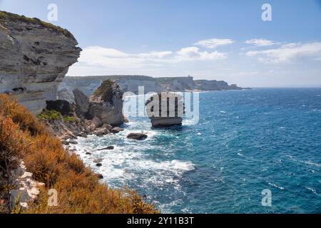 Küste von Bonifacio, Corse-du-Sud, Korsika, Frankreich Stockfoto