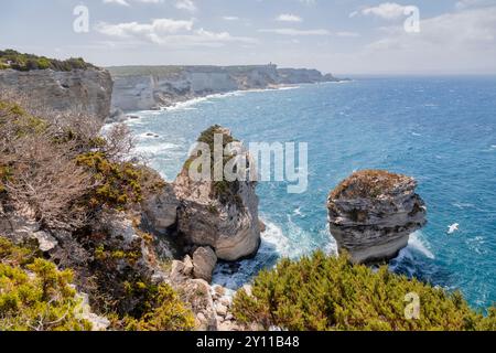 Die Klippen von Bonifacio, mit dem Felsen Le Grain de Sable, Bonifacio, Corse-du-Sud, Korsika, Frankreich Stockfoto