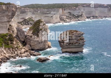 Die Klippen von Bonifacio, mit dem Felsen Le Grain de Sable, Bonifacio, Corse-du-Sud, Korsika, Frankreich Stockfoto