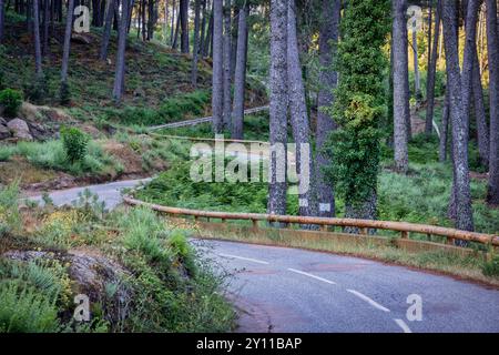 Gewundene Bergstraße im Hinterland Korsikas, Porto Vecchio, Corse-du-Sud, Frankreich Stockfoto