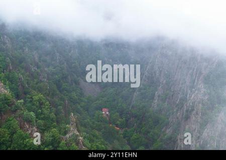 Wald, Tal, Schlucht, Bodetal, Berge, Thale, Harz, Sachsen-Anhalt, Deutschland, Europa Stockfoto