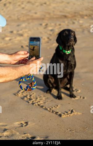 Ein Mann macht ein Foto von einem schwarzen labrador-Retriever-Hund am Strand, mit seinem Namen Willy im Sand geschrieben Stockfoto