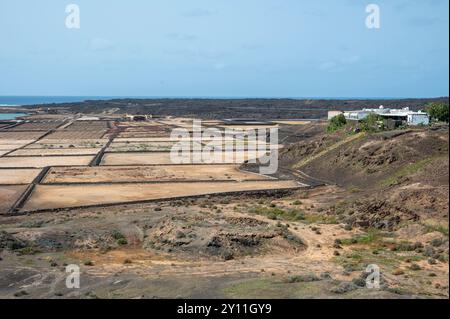 Spanien, Provinz Las Palmas, Kanarische Inseln, Lanzarote, Salinas de Janubio, Salzproduktion, Salzwerk Stockfoto