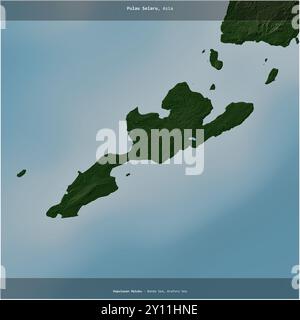 Pulau Selaru in der Banda-See, das zu Indonesien gehört, wurde auf einer farbigen Höhenkarte quadratisch zugeschnitten Stockfoto