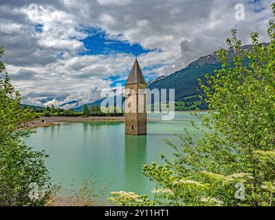 Kirchturm von Alt-Graun im Reschensee mit Blick auf Ortler, Vinschgau, Trentino-Südtirol, Graun, Curon Vinschgau, Graun im Vinschgau, Vinschgau, Provinz Bozen, Südtirol, Südtirol, Alpen, Trentino-Südtirol, Italien, Italien Stockfoto