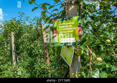 Obstbau am Kalterer See, Kaltern, Südtiroler Weinstraße, Provinz Bozen, Südtirol, Südtirol, Trentino-Südtirol, Italien, Italien Stockfoto