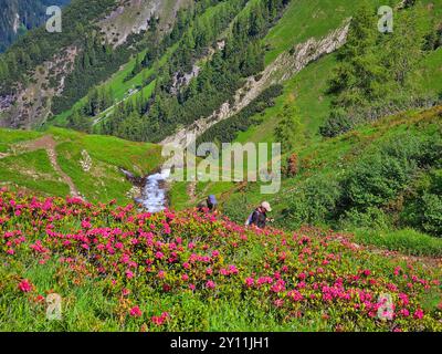 Aufstieg von Madau zur Memminger Hütte (2242m), Lechtaler Alpen, Tirol, Österreich, Weitwanderweg E5, Alpenüberquerung von Oberstdorf nach Meran Stockfoto