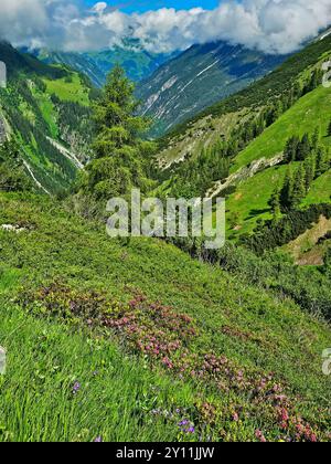 Aufstieg von Madau zur Memminger Hütte (2242m), Lechtaler Alpen, Tirol, Österreich, Weitwanderweg E5, Alpenüberquerung von Oberstdorf nach Meran Stockfoto