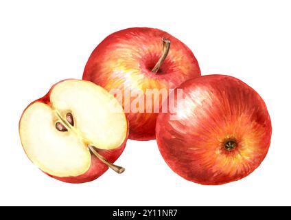 Rote süße Äpfel, handgezeichnete Aquarellillustration, isoliert auf weißem Hintergrund Stockfoto