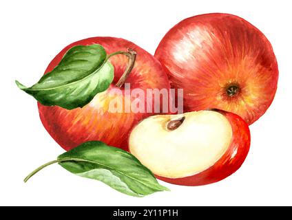 Rote süße Äpfel, handgezeichnete Aquarellillustration isoliert auf weißem Hintergrund Stockfoto