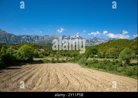 Albanien, Balkanhalbinsel, Südosteuropa, Republik Albanien, Südalbanien, Vjosa-Tal, Vjosa-Nationalpark, wilder Fluss Vjosa, größter natürlicher Fluss in Europa Stockfoto