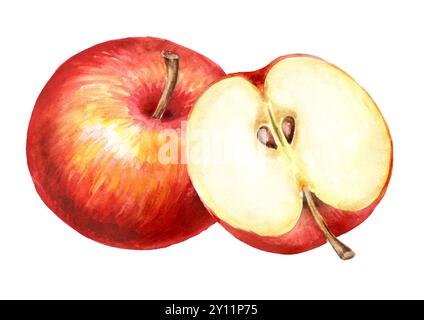 Rote süße Äpfel, handgezeichnete Aquarellillustration, isoliert auf weißem Hintergrund Stockfoto