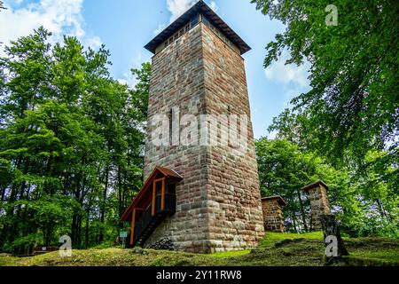 Eine wunderbare Frühlingswanderung rund um den Pleß Berg und die Burgruine Frankenberg bei Breitungen - Thüringen - Deutschland Stockfoto