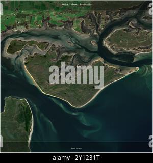 Snake Island in der Bass Strait, die zu Australien gehört, wurde auf einem Satellitenbild vom 19. Oktober 2023 quadratisch zugeschnitten Stockfoto