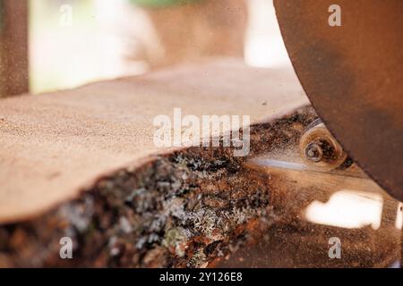 Eine Nahansicht eines Baumstamms, der auf einem Sägewerk geschnitten wird. Das Sägeblatt ist sichtbar, und Sägemehl fliegt herum, was auf ein aktives Schneiden hinweist. Das Protokoll zeigt natu an Stockfoto