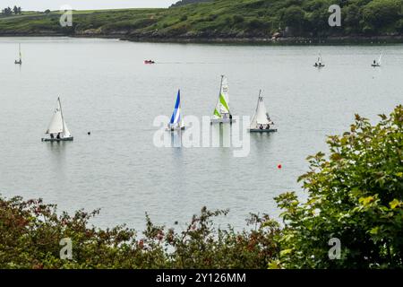 Mitglieder des Glandore Harbour Yacht Clubs segeln in West Cork, Irland. Stockfoto