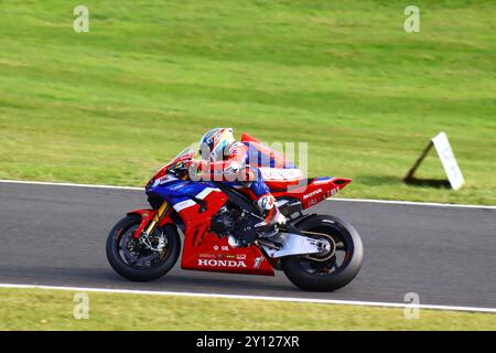 BRITISCHE SUPERBIKES IM CADWELL PARK 2024 Stockfoto