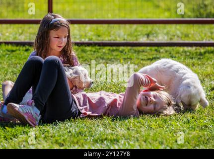 Kleine Kinder spielen mit platinfarbenen Golden Retriever Welpen auf einem Grasfeld. Stockfoto