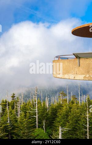 Blick von der Aussichtsplattform des Clingmans Kuppel in den Great Smoky Mountains. Stockfoto