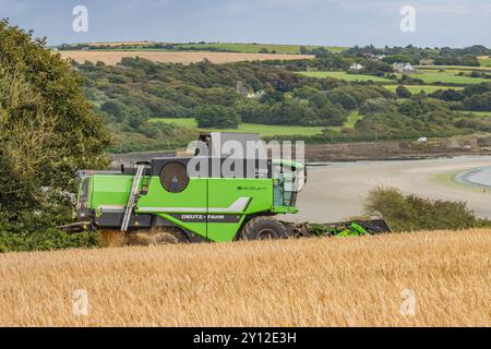 Ernte der Frühlingsgerste bei Harbour View, Kilbrittain, Co. Cork, September 2024 Stockfoto