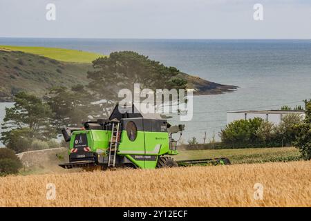 Ernte der Frühlingsgerste bei Harbour View, Kilbrittain, Co. Cork, September 2024 Stockfoto