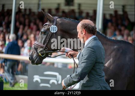 Stamford, Großbritannien. September 2024. Tim Price und Vitali vertraten Neuseeland bei der ersten Horse Inspection bei den Defender Burghley Horse Trials 2024 auf dem Gelände von Burghley House in Stamford, Lincolnshire, England. Quelle: Jonathan Clarke/Alamy Live News Stockfoto