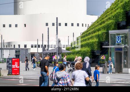 Grüne Fassade, aus über 30,000 Hainbuchen, die eine gut 8 km lange Hecke, auf dem Dach und der Fassade des Kö-Bogen-2 Häuser bilden größte begrünte Fassade in Europa, Düsseldorfer Schauspielhaus, Düsseldorf NRW, Deutschland Heckenhaus *** Grüne Fassade, bestehend aus über 30.000 Hainbalken, die eine gut 8 Kilometer lange Hecke auf dem Dach und der Fassade des Kö Bogen 2 Gebäudes bilden, der größten grünen Fassade Europas, Düsseldorfer Schauspielhaus, Düsseldorf NRW, Deutschland Stockfoto