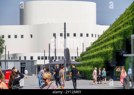 Grüne Fassade, aus über 30,000 Hainbuchen, die eine gut 8 km lange Hecke, auf dem Dach und der Fassade des Kö-Bogen-2 Häuser bilden größte begrünte Fassade in Europa, Düsseldorfer Schauspielhaus, Düsseldorf NRW, Deutschland Heckenhaus *** Grüne Fassade, bestehend aus über 30.000 Hainbalken, die eine gut 8 Kilometer lange Hecke auf dem Dach und der Fassade des Kö Bogen 2 Gebäudes bilden, der größten grünen Fassade Europas, Düsseldorfer Schauspielhaus, Düsseldorf NRW, Deutschland Stockfoto
