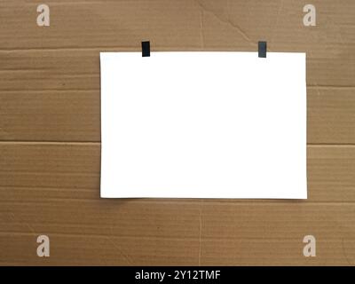 Ein leeres Blatt Papier wird an einem Stück Karton befestigt Stockfoto