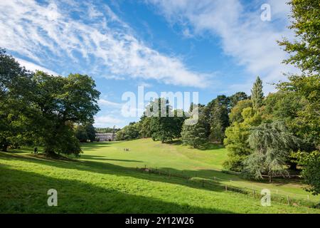 Cricket Ground in Cockington, Devon Stockfoto