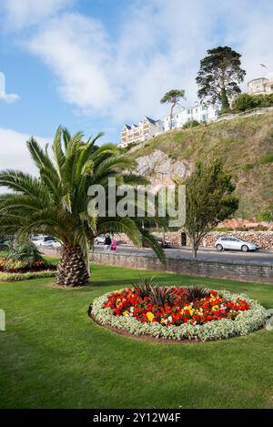 Torquay in Devon, Teil der englischen Riviera. Stockfoto