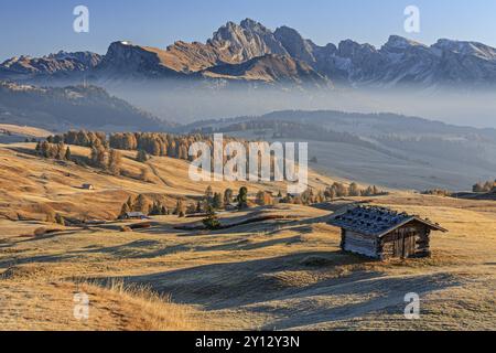 Kleine Hütte auf Alp vor Bergen im Morgenlicht, Raureif, Herbst, Dunst, Seiser Alm, hinter Sass Rigais, Dolomiten, Südtirol, Italien Stockfoto