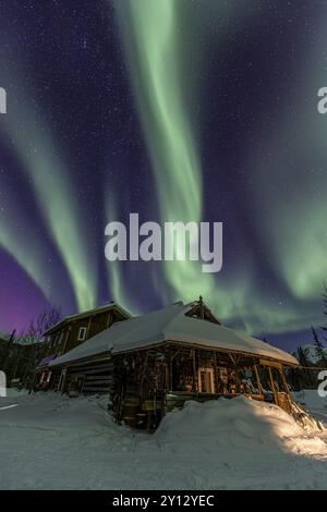 Grüne und violette Nordlichter (aurora borealis) über einer Blockhütte im Schnee, Brooks Range, Alaska, USA, Nordamerika Stockfoto